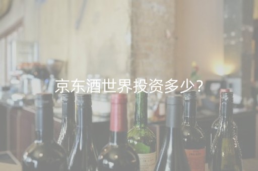 京东酒世界投资多少？