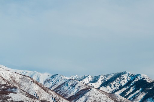 山巅一寺一壶酒全诗